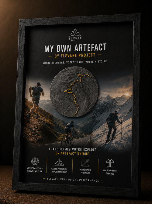 Single Effort Artefact by ELEVARE Project